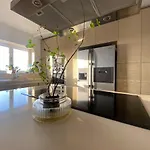 Venus House *